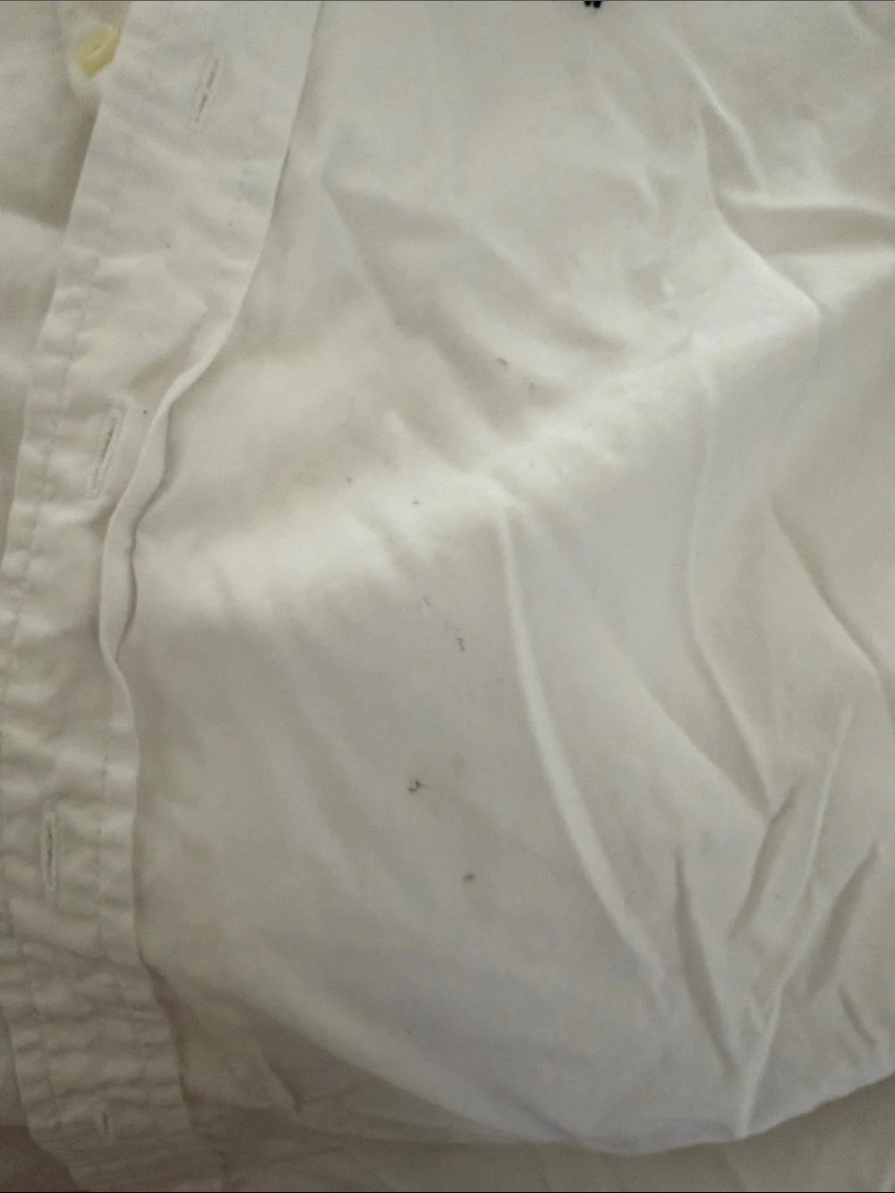 Ralph Lauren White Button-Down Shirt with Navy Pony